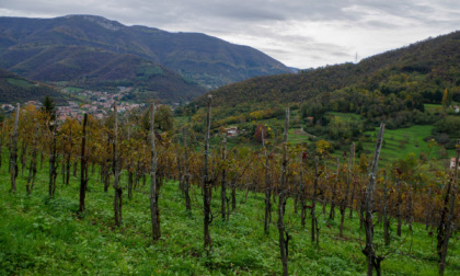 Un giro attorno al monte Sega, che mette insieme tutte le bellezze della Val Cavallina