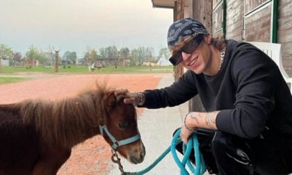 Visita inaspettata a Zanica: il cantante Irama s'è innamorato dei pony de La Rosa Bianca
