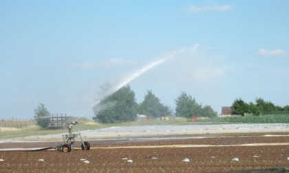 Consorzio di Bonifica, ripresi i lavori sviluppati dal piano di sviluppo rurale nazionale