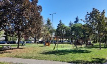 Si tingerà di rosso una panchina del parco di via Partigiani a Seriate