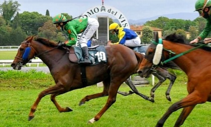 Paura all'ippodromo di Firenze, ferita l'amazzone bergamasca Sara Spampatti