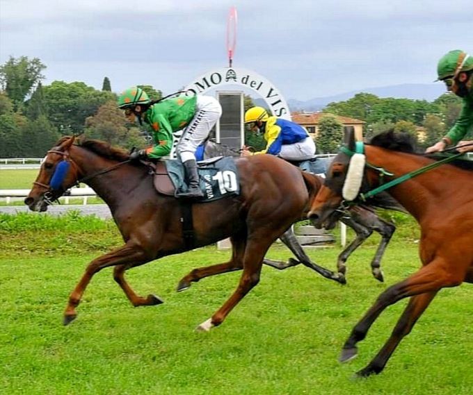 Paura all’ippodromo di Firenze, ferita l’amazzone bergamasca Sara Spampatti