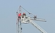 Operaio si arrampica per protesta in cima a una gru a Dalmine: intervengono i Carabinieri
