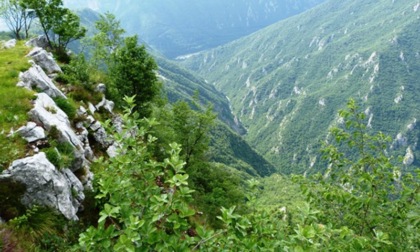 Sta bene il 63enne ritrovato stanotte nei boschi della Val Parina