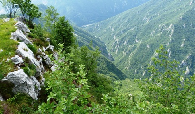 Sta bene il 63enne ritrovato stanotte nei boschi della Val Parina