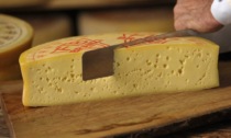Il Branzi è tra i formaggi più buoni d'Italia: ha vinto l'Italian Cheese Awards