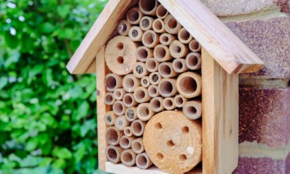 I bee hotel arrivano a Bergamo con un concorso dell'Orto Botanico