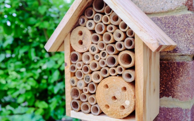 I bee hotel arrivano a Bergamo con un concorso dell’Orto Botanico