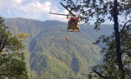 Colorina, precipita nel bosco mentre è in cerca di funghi: morto 72enne di Dalmine