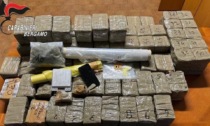 Spacciatore di Mozzo arrestato a Boccaleone: nella sua casa trovati oltre 76 chili di droga