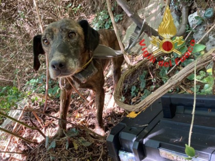 Cane caduto in una cavità di 15 metri, salvato dai vigili del fuoco
