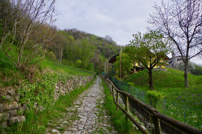Un bel giro ad anello sul monte Tisa, tra storia e leggende (senza dimenticare i panorami)