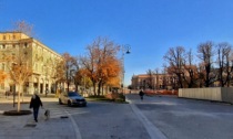 Abbattute tre piante a rischio caduta in piazza Matteotti: saranno sostituite