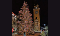 Prove di accensione per l'albero di Natale in centro (che arriva da Gorno)