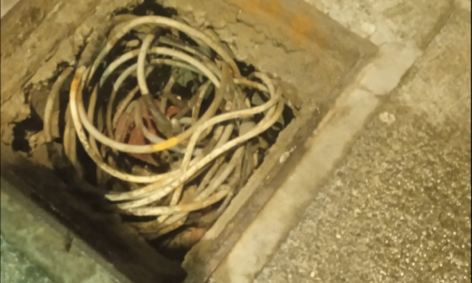 Cani folgorati in strada per colpa di un cavo elettrico fuori dal tombino