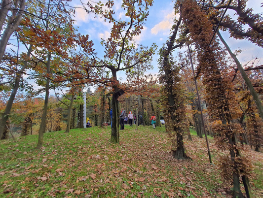Bergamo Foliage, nove giorni di escursioni tra boschi e foglie autunnali