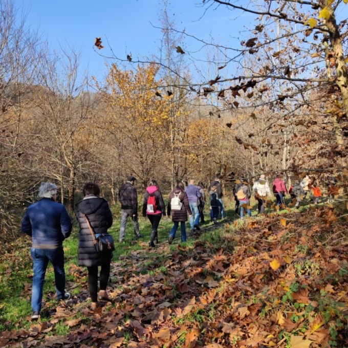 Alla scoperta della foresta urbana nella Bergamasca