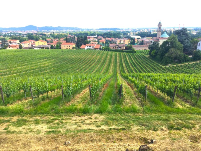 I tre vini bergamaschi premiati dalla guida Slow Wine 2023