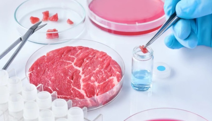 La Lombardia dichiara “guerra” al cibo sintetico
