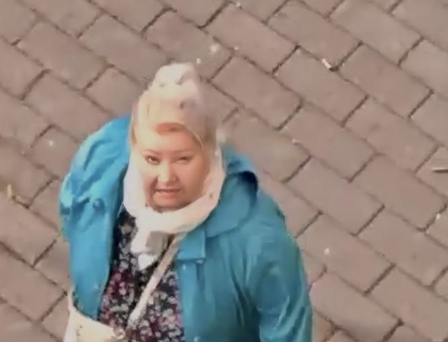 Le manie di persecuzione di Silvana Erzembergher, assolta per infermità mentale