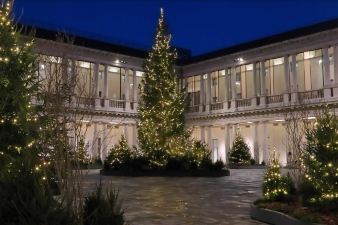 Un abete di Schilpario ambasciatore della Val di Scalve per il Natale milanese