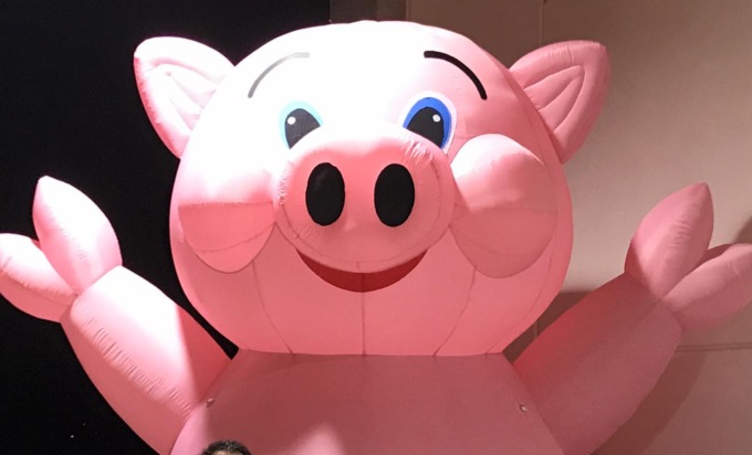 Sagra del Porsèl di Spirano, tre giorni tra porchetta e dintorni