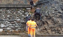 Carabinieri salvano un cane che si era perso in una zona impervia tra Casnigo e Ponte Nossa