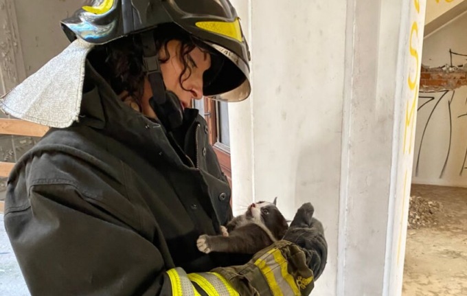 Crespi, due gattini bloccati sul tetto della storica fabbrica: salvati dai vigili del fuoco