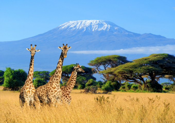 Sognando il Kenya: quali documenti servono per partire e come ottenerli