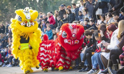Capodanno Cinese, grande festa in Malpensata (con cento lanterne rosse)