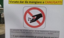 A Trescore, le autorità vietano di dare da mangiare agli animali liberi. E i cittadini protestano