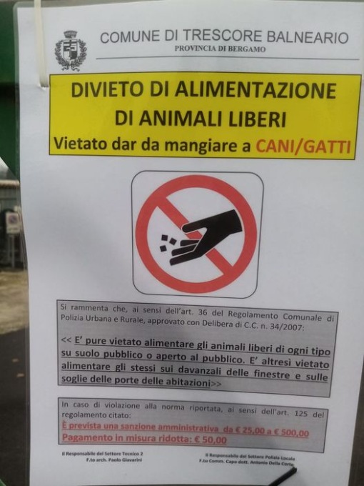 A Trescore, le autorità vietano di dare da mangiare agli animali liberi. E i cittadini protestano