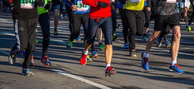 Plantari utilizzo e gestione: ecco le risposte alle domande più frequenti