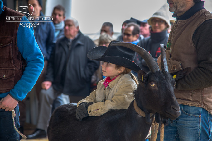 Domenica 5 febbraio ad Ardesio torna la Fiera della Capre (e la mostra dell’Asinello)