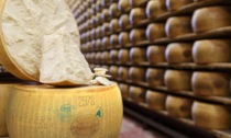 Parmigiano Reggiano DOP: le proposte del Caseificio Beato Marco