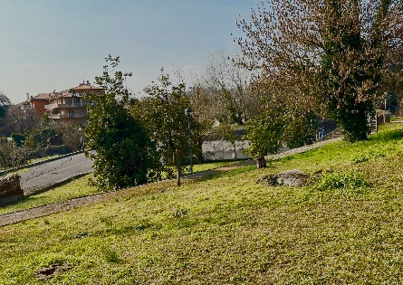 «No alla palestra nel Campo di Marte. Salviamo il verde nella Conca d’Oro»
