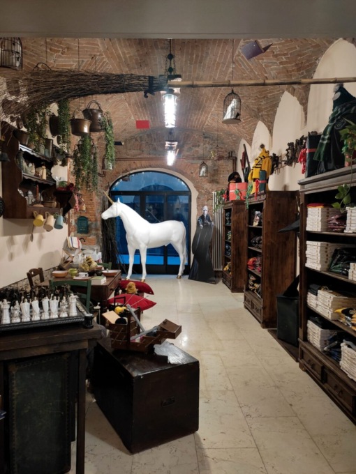 A caccia di horcrux con Harry Potter in Città Alta: l’escape room parte dal Paiolo Magico