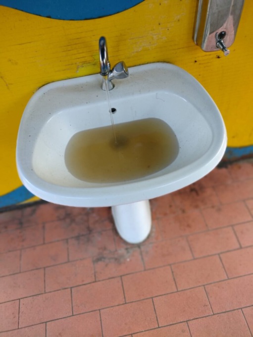 «Al parco Suardi i bagni sono un vero disastro»