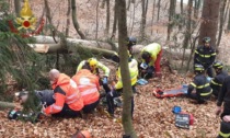 Travolto da un albero a Casnigo: ferito operaio 53enne
