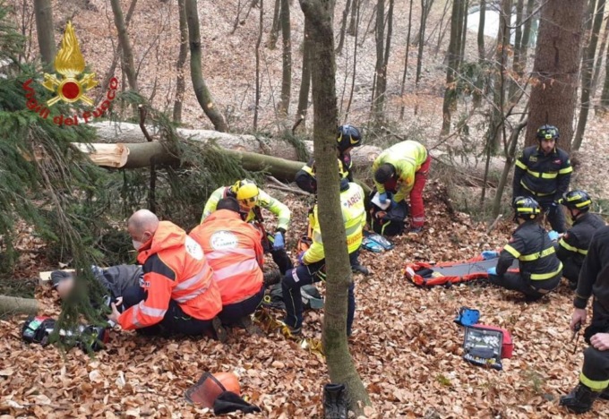Travolto da un albero a Casnigo: ferito operaio 53enne