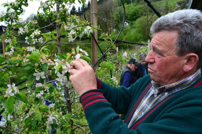 Gestione del frutteto e acquisto piante, serata a Zogno con i Frutticoltori Val Brembana