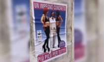 «Più pilu per tutti»: manifesti elettorali abusivi da "Qualunquemente" a San Pellegrino