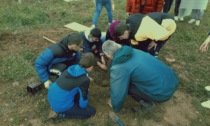 Gli alunni di Seriate hanno piantumato 50 nuovi alberi e arbusti nella natura del Parco del Serio