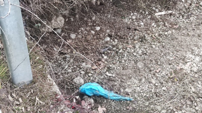 Ritrovato un ordigno bellico, circolazione interrotta tra Casirate e Calvenzano