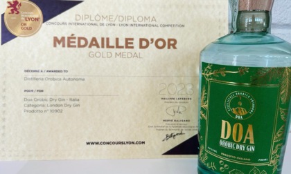 Gin, oro e argento al concorso internazionale di Lione per la Distilleria orobica autonoma