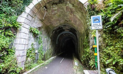 L'incidente sulla ciclopedonale della Val Brembana fa esplodere la faida ciclisti-pedoni