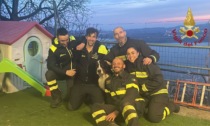 Predore, cane cade in un dirupo di 80 metri: salvato dai Vigili del Fuoco con l'elicottero