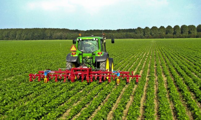 Agroalimentare in ripresa: Bergamo seconda in regione per esportazione, aumentano le assunzioni