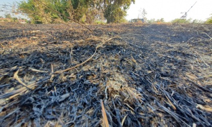 Fiamme dolose nel bosco dei Dossi di Badalasco, frazione di Fara