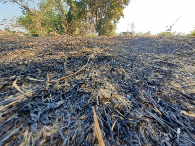 Fiamme dolose nel bosco dei Dossi di Badalasco, frazione di Fara